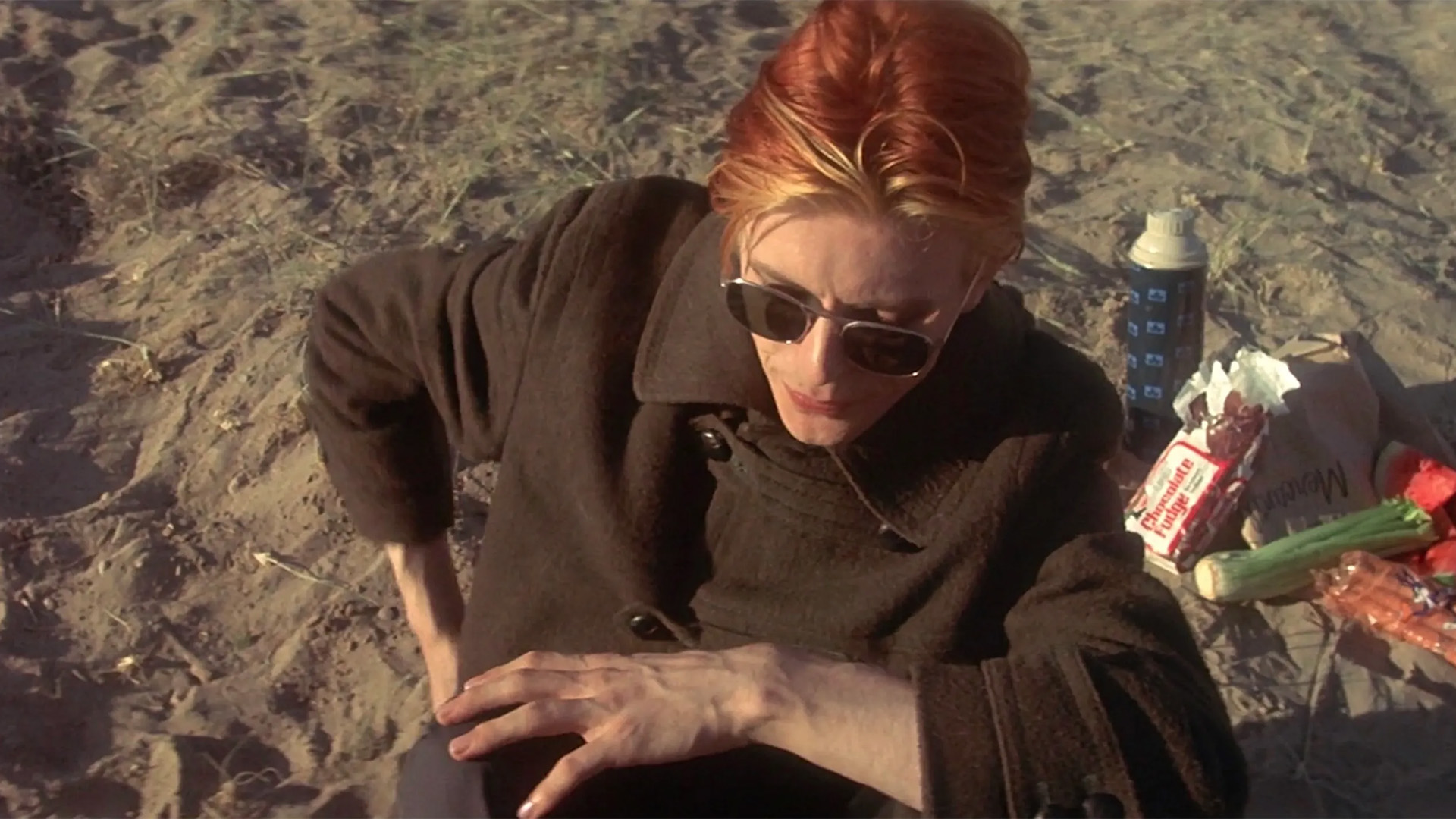 Dünyaya Düşen Adam görsel 2